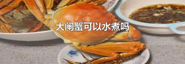 大闸蟹可以水煮吗