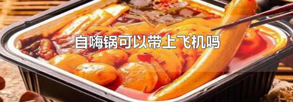 自嗨锅可以带上飞机吗