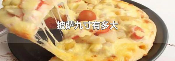 披萨九寸有多大
