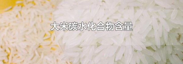 大米碳水化合物含量