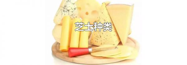 芝士种类