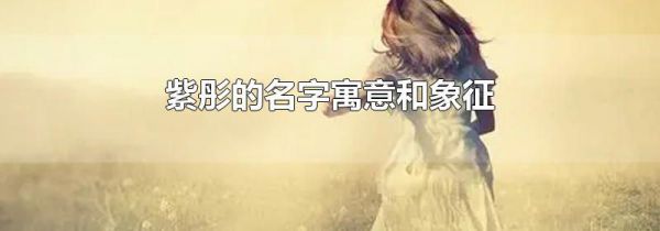 紫彤的名字寓意和象征