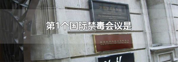 第1个国际禁毒会议是