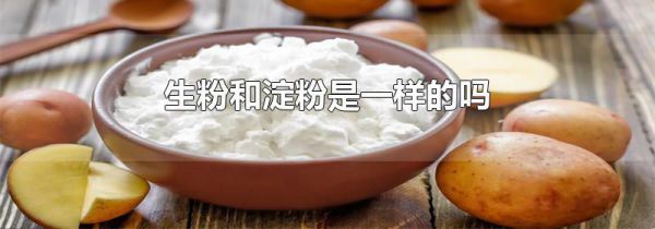 生粉和淀粉是一样的吗
