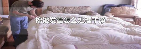 棉被发霉怎么处理干净