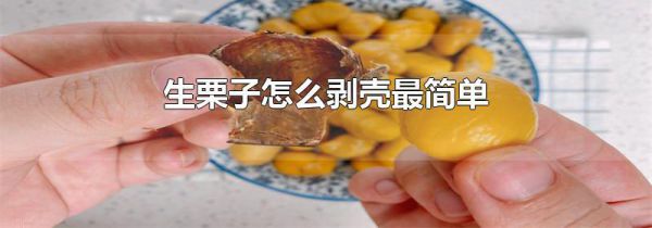 生栗子怎么剥壳最简单