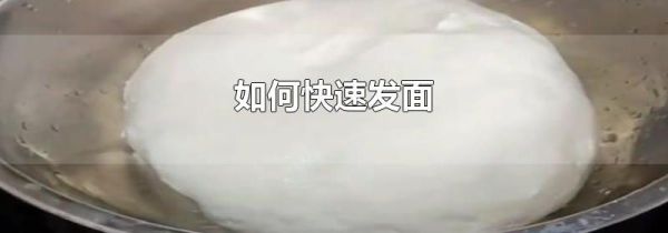 如何快速发面
