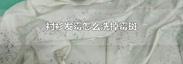 衬衫发霉怎么洗掉霉斑