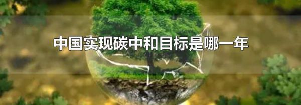中国实现碳中和目标是哪一年