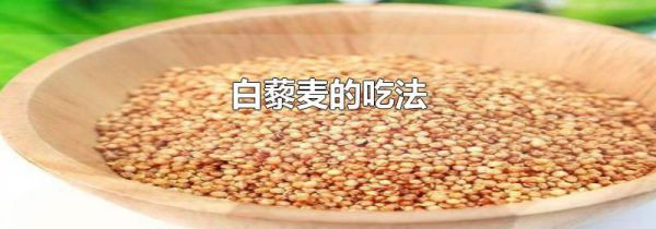 白藜麦的吃法