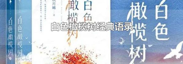 白色橄榄树经典语录