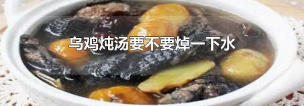 乌鸡炖汤要不要焯一下水