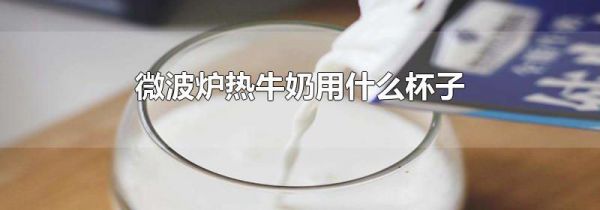 微波炉热牛奶用什么杯子