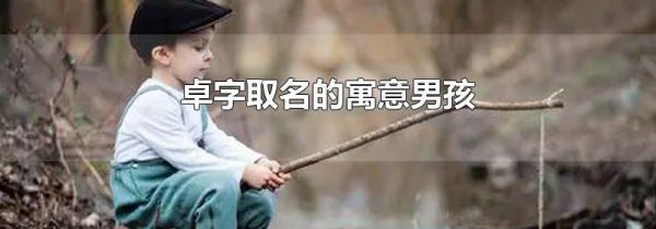 卓字取名的寓意男孩