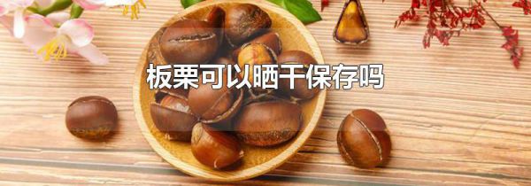 板栗可以晒干保存吗