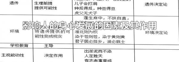 影响人的身心发展的因素及其作用