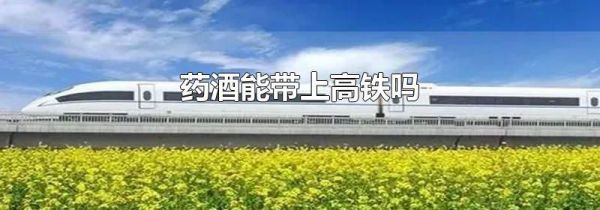 药酒能带上高铁吗