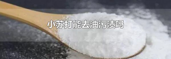 小苏打能去油污渍吗