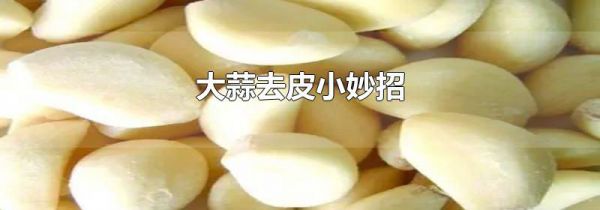 大蒜去皮小妙招