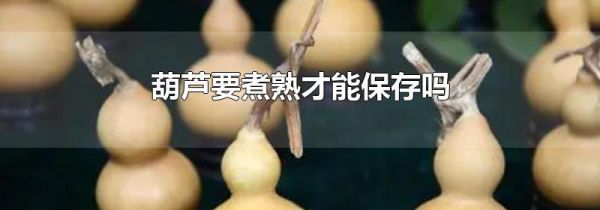 葫芦要煮熟才能保存吗