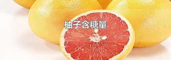 柚子含糖量