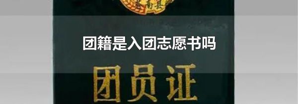团籍是入团志愿书吗