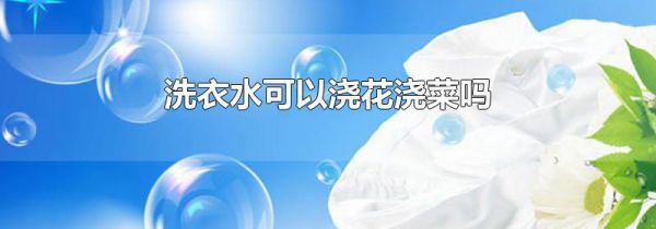 洗衣水可以浇花浇菜吗