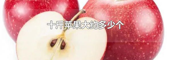 十斤苹果大约多少个
