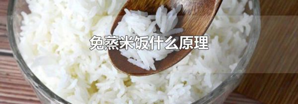 免蒸米饭什么原理
