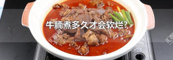 牛腩煮多久才会软烂?