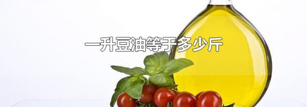 一升豆油等于多少斤