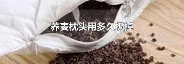 荞麦枕头用多久扔掉
