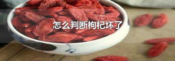 怎么判断枸杞坏了