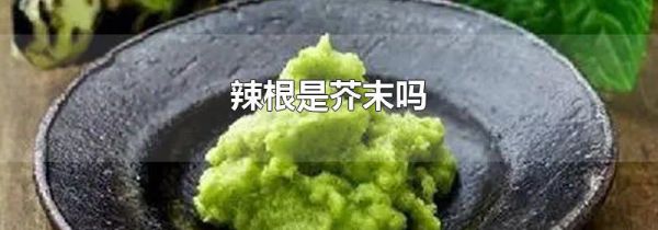 辣根是芥末吗