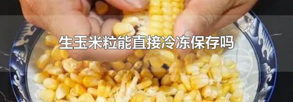 生玉米粒能直接冷冻保存吗