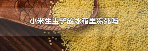 小米生虫子放冰箱里冻死吗