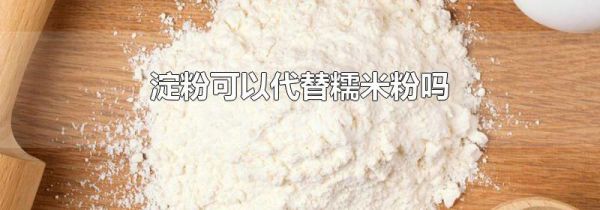 淀粉可以代替糯米粉吗