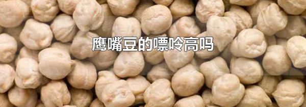 鹰嘴豆的嘌呤高吗
