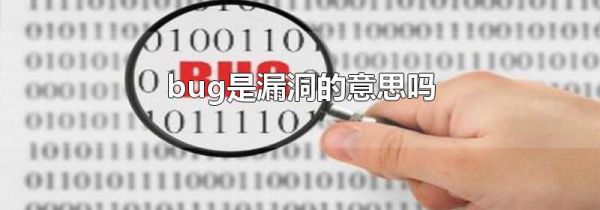 bug是漏洞的意思吗