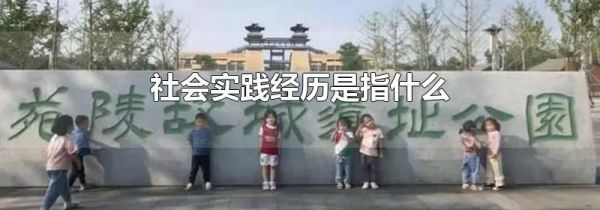 社会实践经历是指什么
