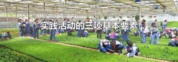 实践活动的三项基本要素
