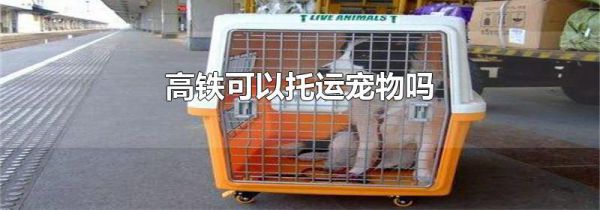 高铁可以托运宠物吗