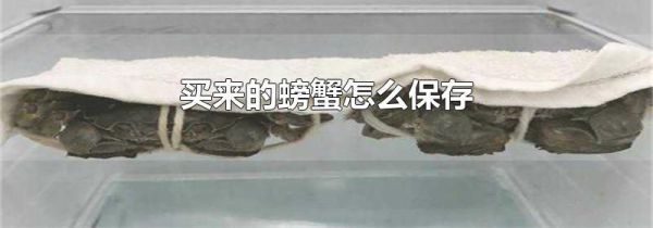 买来的螃蟹怎么保存