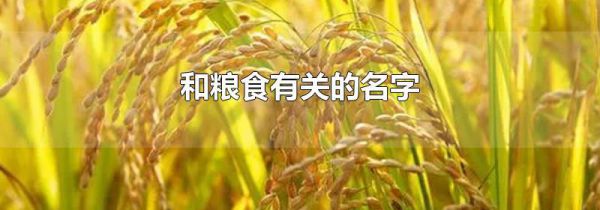 和粮食有关的名字