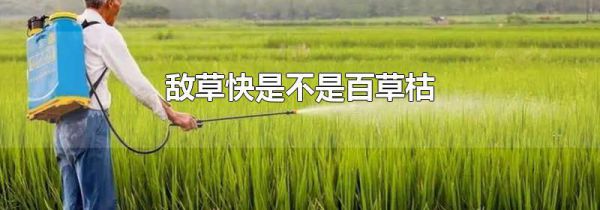 敌草快是不是百草枯