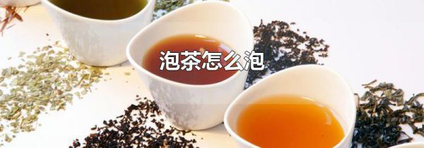 泡茶怎么泡