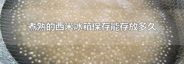 煮熟的西米冰箱保存能存放多久