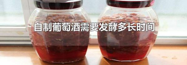 自制葡萄酒需要发酵多长时间