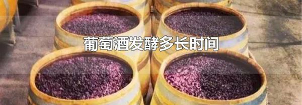 葡萄酒发酵多长时间