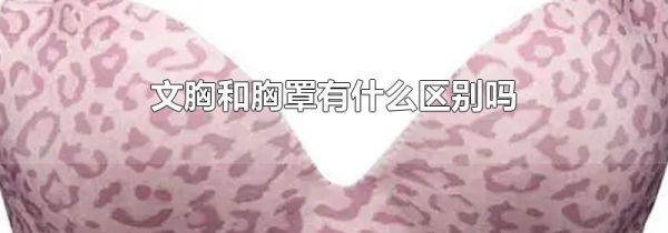 文胸和胸罩有什么区别吗